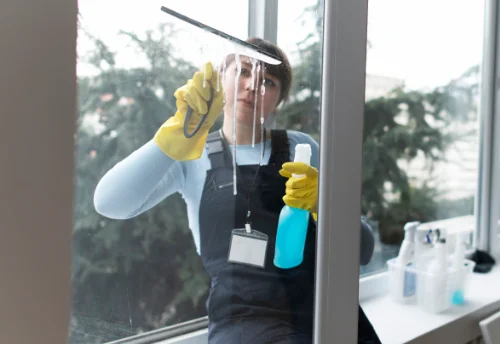 Nettoyage de vitres intérieures et extérieures à la Selle-sur-le-Bied